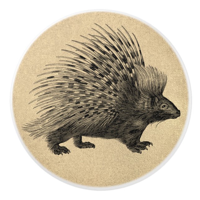 Crested Porcupine Ceramic Knob (Front)