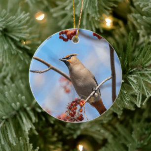Crested Waxwing, Black Mask and Yellow Tail Ceramic Tree Decoration