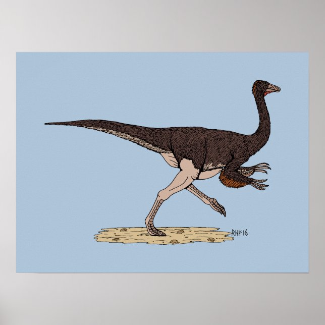 Cretaceous Dinosaur Ornithomimus Poster (Front)