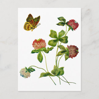 Crewel Embroidered Irish Clover Postcard