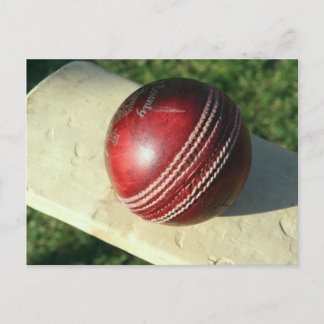 cricket-ball-and-bat.jpg postcard