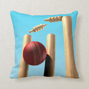 Cricket Ball Hitting Wickets Cushion
