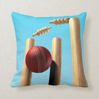 Cricket Ball Hitting Wickets Cushion