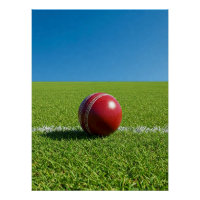Cricket Ball on Boundary Mark