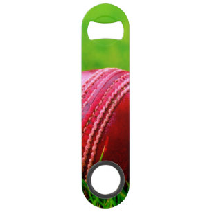 Cricket Ball Sport Customise