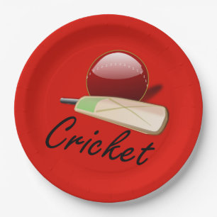 Cricket bat and ball, labelled, paper plate