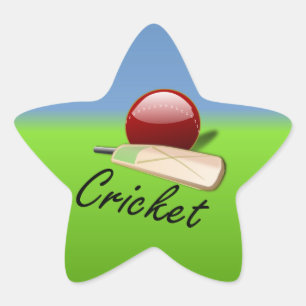 Cricket - bat and ball on grassy horizon star sticker