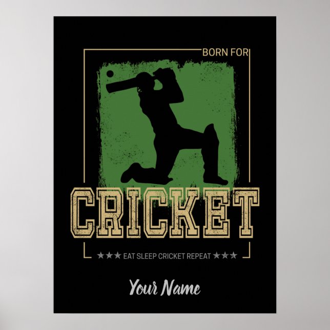Cricket Batsman Vintage Pitcher Player Coach Poster (Front)