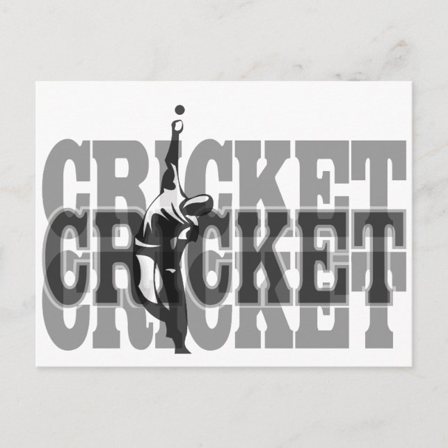 Cricket Bowler Postcard (Front)