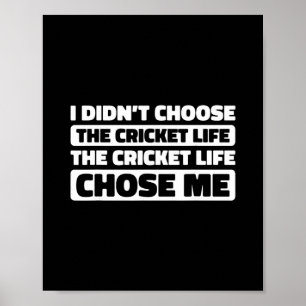 Cricket Cricketing Umpire - Bowler Tsman Cricketer Poster