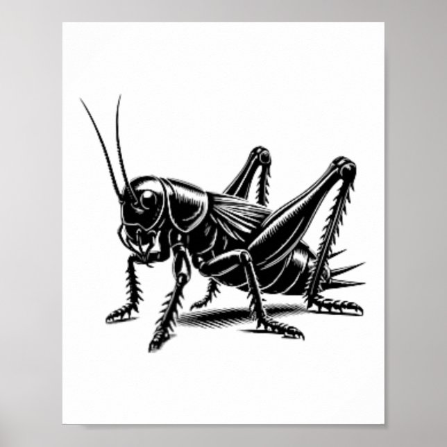 Cricket Dad Mom Lover - Monochromatic Cricket 1  Poster (Front)