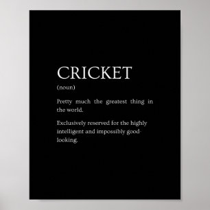 Cricket Definition - Funny Sarcastic Cricket Expla Poster