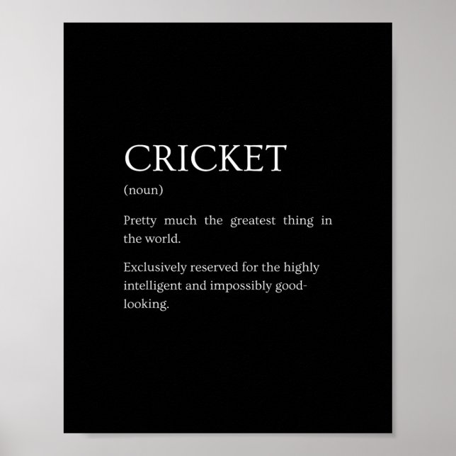 Cricket Definition - Funny Sarcastic Cricket Expla Poster (Front)