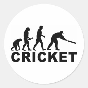 Cricket Evolution Classic Round Sticker