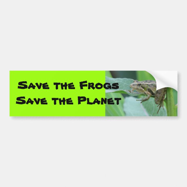 Cricket Frog Bumper Sticker (Front)