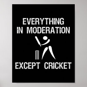 Cricket Game - Funny Moderation - Player  Poster