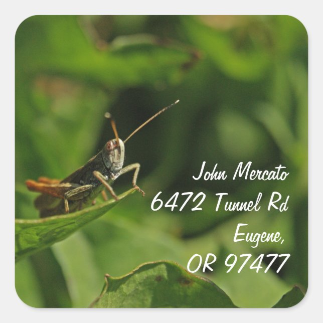 cricket home address labels (Front)