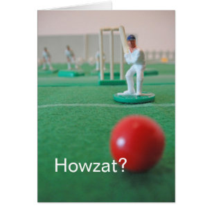 Cricket 'Howzat?'
