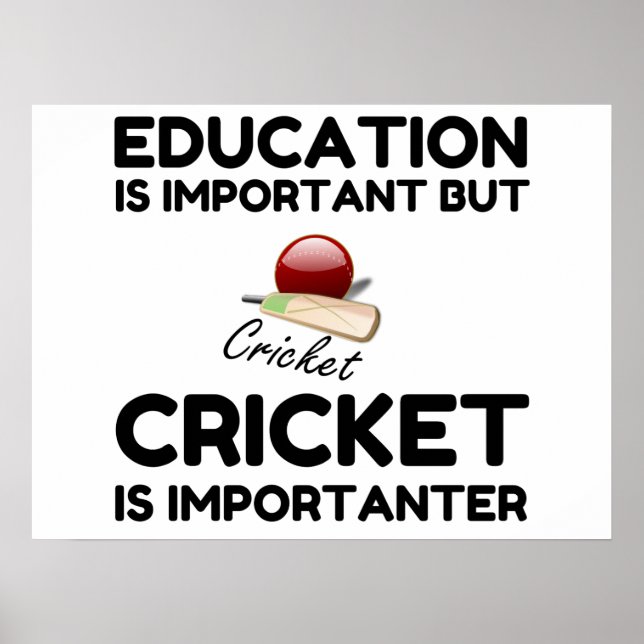 CRICKET IS IMPORTANTER POSTER (Front)