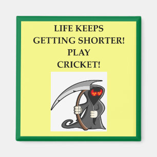 CRICKET MAGNET