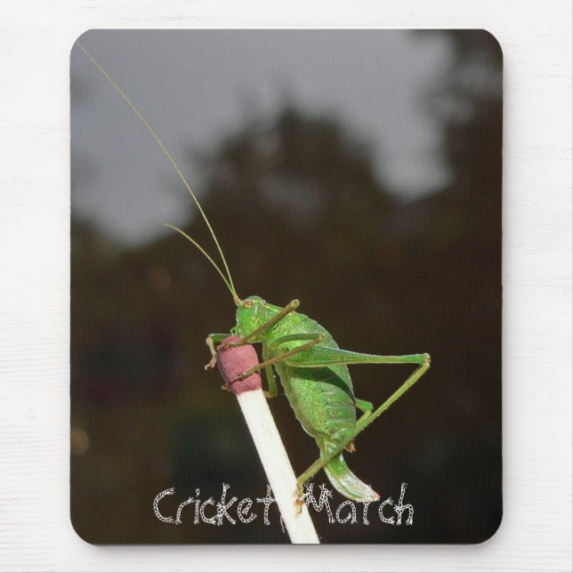 Cricket Match Mouse Mat (Front)