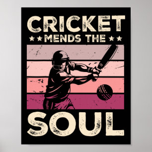 Cricket Mends The Soul  Poster