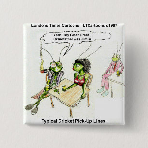 Cricket Pick-Up Lines Funny 15 Cm Square Badge