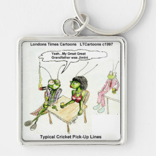 Cricket Pick-Up Lines Funny Key Ring