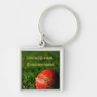 Cricket Red Ball Funny Motivational