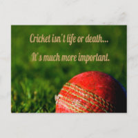 Cricket Red Ball Funny Motivational