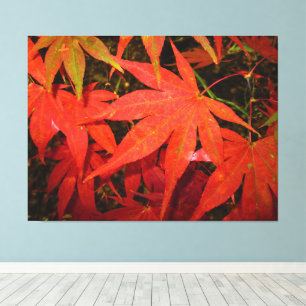 Crimson Autumn Leaves - Canvas Print