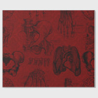 Crimson & Black Skeletons Anatomy