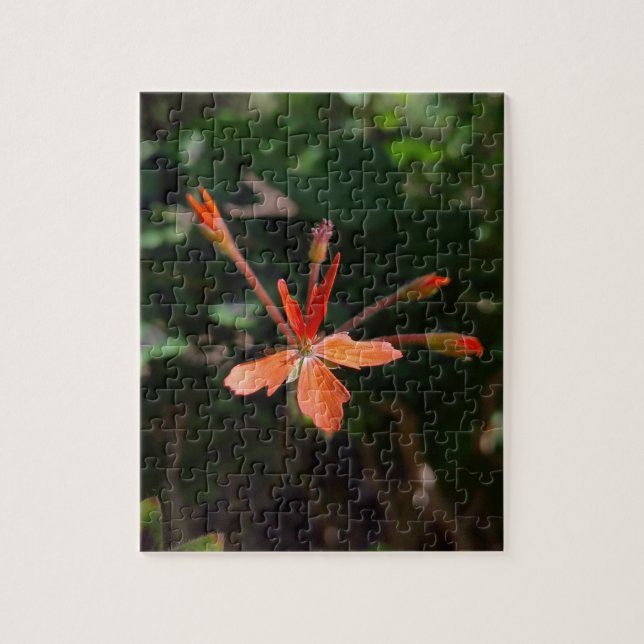 Crimson Bloom – Nature’s Petal Symphony Jigsaw Puzzle (Vertical)