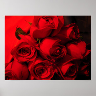 "Crimson Bouquet" Poster