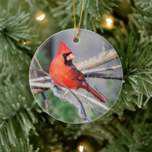 Crimson Cardinal Crest Premium Ornament