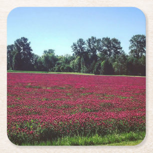 Crimson Clover Field Square Paper Coaster