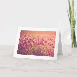 Crimson Clover Flowers Nature Greeting Card