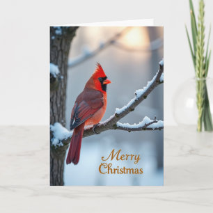 Crimson Crested Bird Card