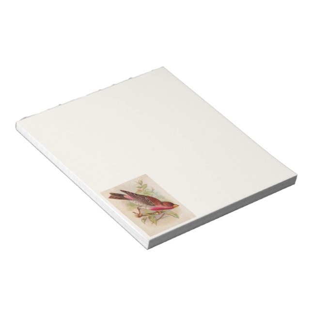 Crimson Fronted Finch Bird Notepad (Angled)