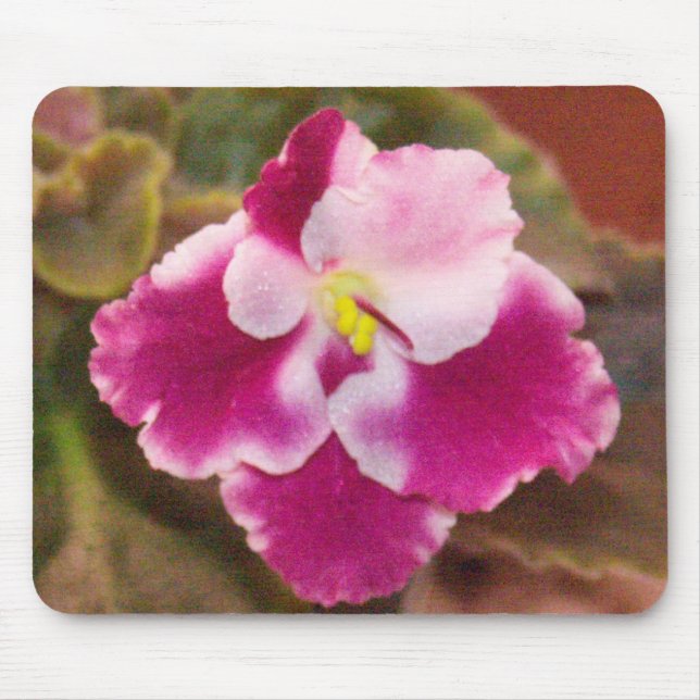 Crimson Ice African Violet Mouse Pad (Front)