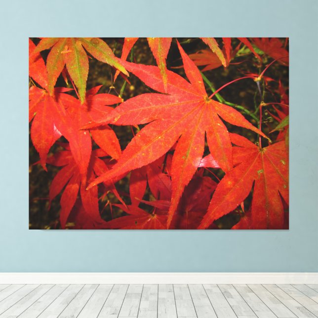Crimson Maple Leaves - Canvas Print (Insitu(Wood Floor))