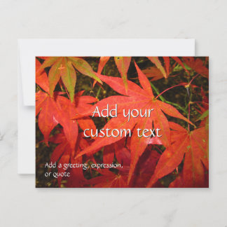 Crimson Maple Leaves - Personalized Postcard