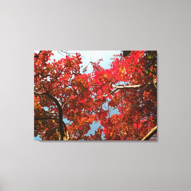 Crimson Myrtle #2 Canvas Print (Front)