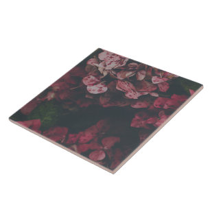 Crimson Petal Shadow Decorative Ceramic Tile