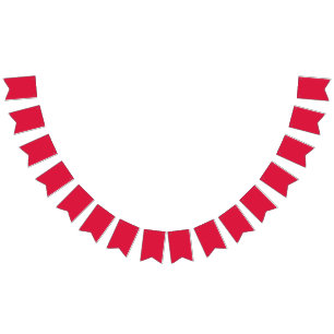 Crimson Red Custom Party Banner