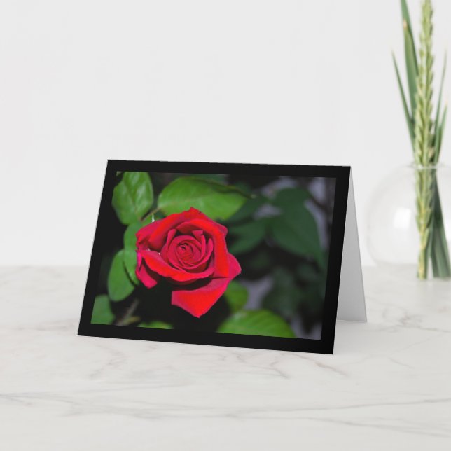 Crimson Red Rose Card (Front)