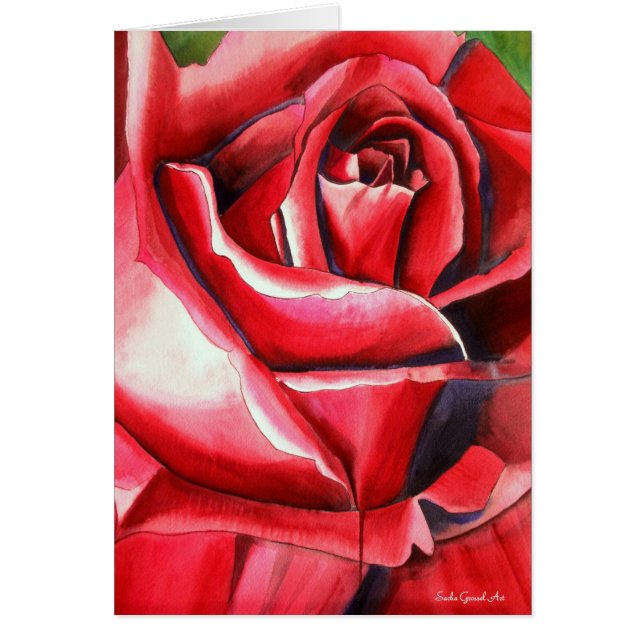 Crimson Red Rose original watercolor art painting (Front)