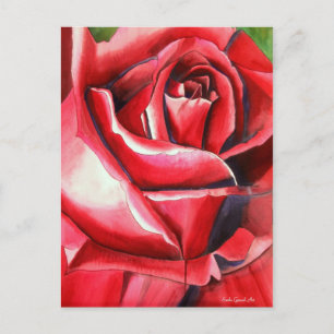 Crimson Red Rose watercolor original art macro Postcard
