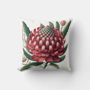 Crimson Red Waratah Australian Native Flower Cushion