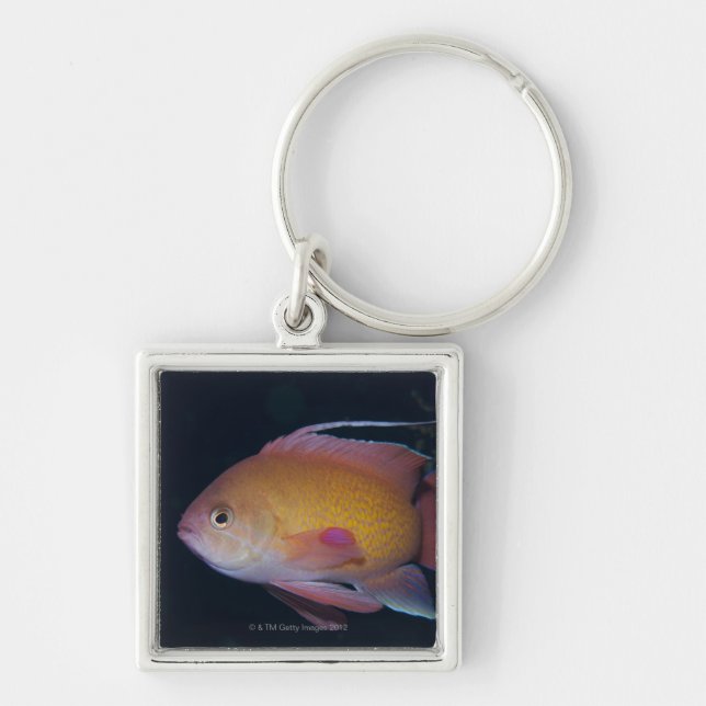 Crimson Seabream Key Ring (Front)